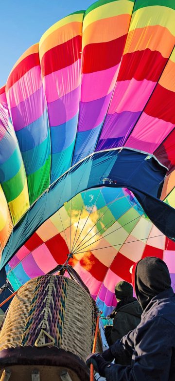 dmm App 设置界面示意，列出权限开关、缓存占用数值与导出入口，整体为浅色列表配墨绿色开关